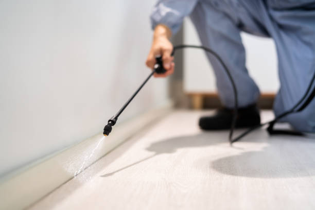 Licensed Termite Control service in Pembroke, NC - Nex Pest Control