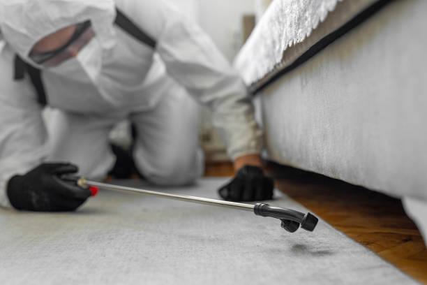Professional Termite Control technician working in Pembroke, NC