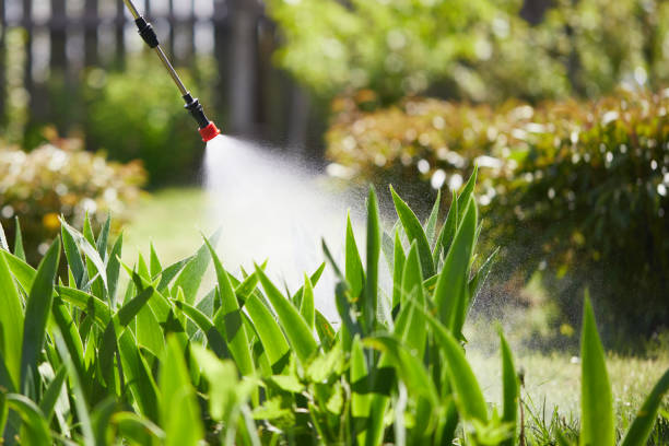 24/7 Emergency Termite Control experts in Pembroke, NC