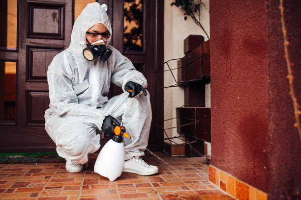 Reliable Termite Control contractor in Pembroke, NC by Nex Pest Control